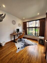 Holland Link (D10), Terrace #451619371